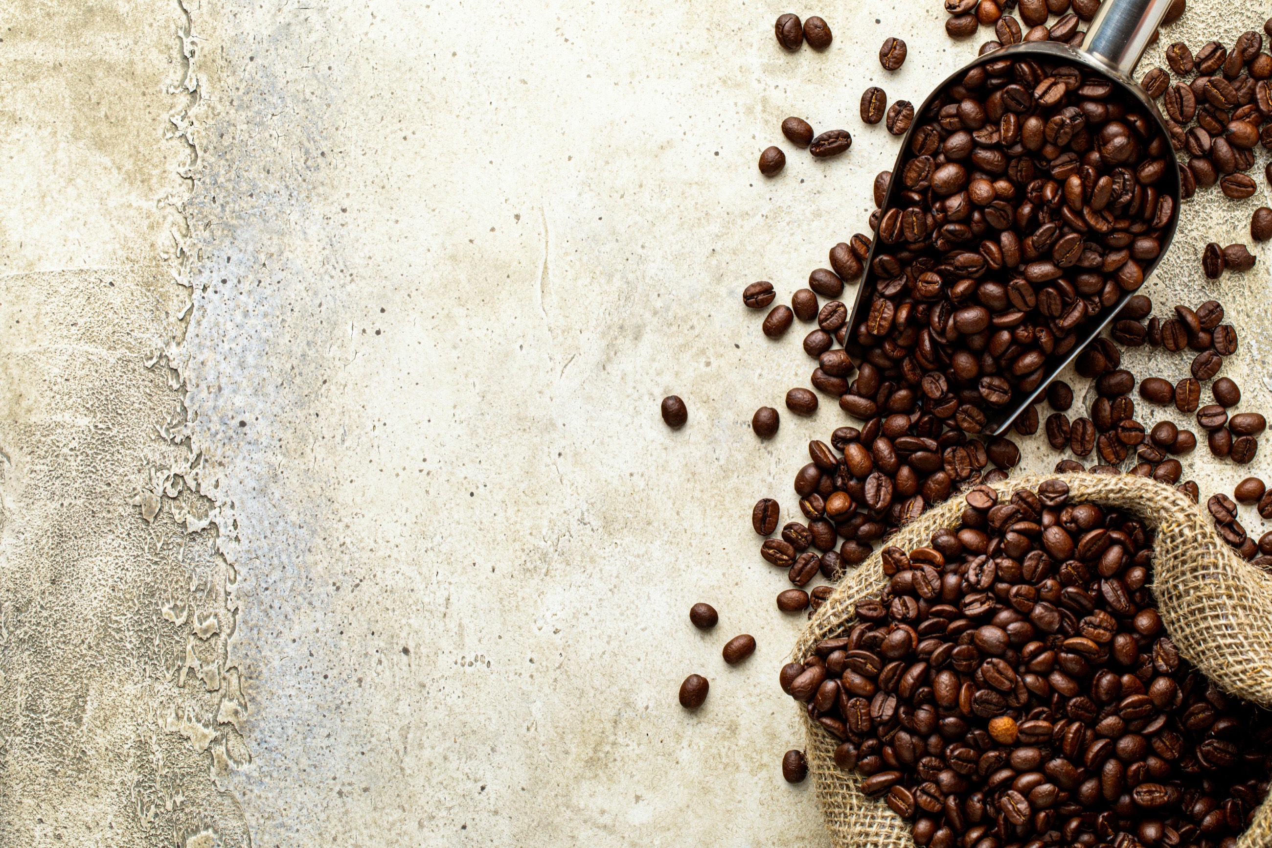 Steel scoop and an open burlap sack of roasted coffee beans on pale concrete